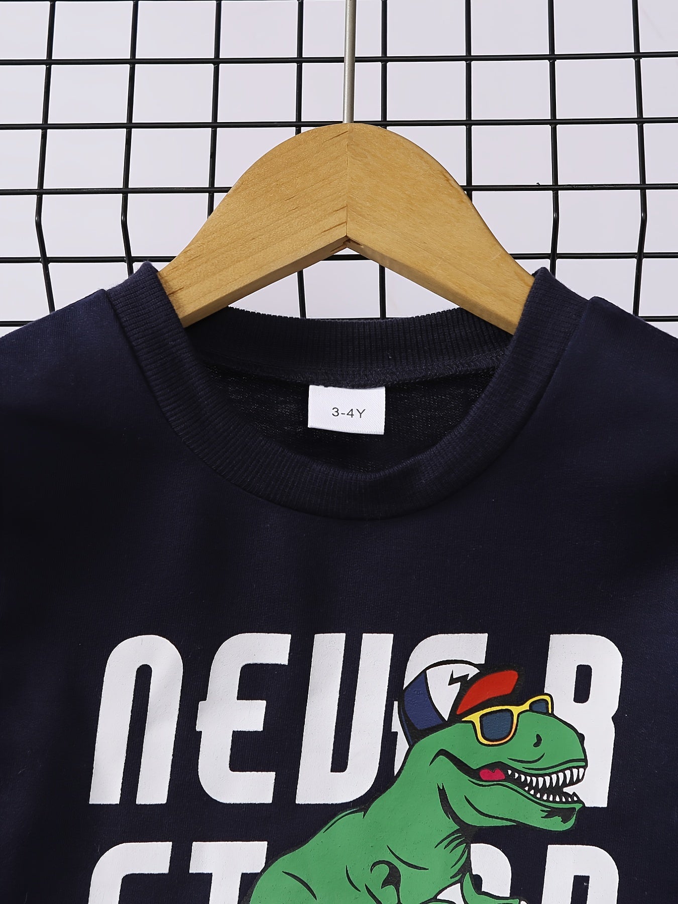 Dino Skater Print Boys Sweatshirt Crew Neck Top