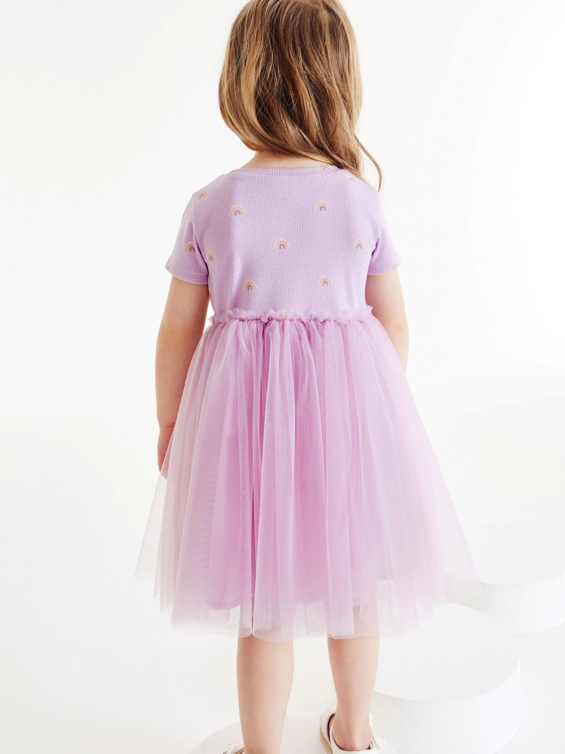 Toddler Girls Rainbow Graphic Mesh Princess Dress For Party