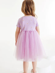 Toddler Girls Rainbow Graphic Mesh Princess Dress For Party