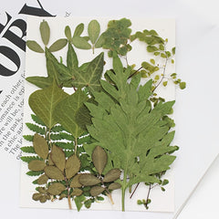 Dried Leaves & Flowers for Resin Crafts