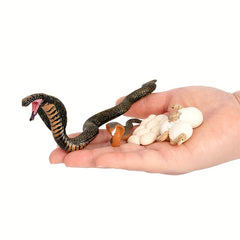 Insect Venomous Animals Growth Cycle Set
