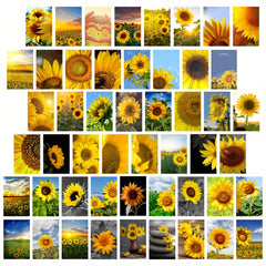 50pcs Sunflower Postcards for Sunflower Enthusiasts, Wall Art Decoration