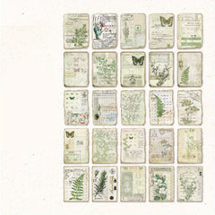 50pcs Vintage Stationery Plants Paper Collage Material