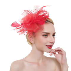 Women's Organza Church Kentucky Derby Bridal Wedding Hat