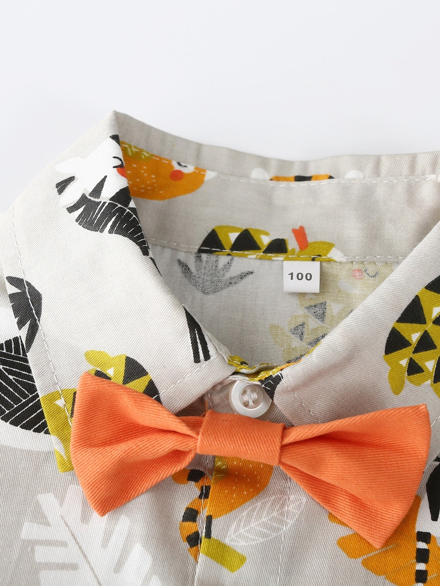 Boys Casual Outfit Animals Graphic Print Shirt&Shorts Set