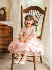 Girls Princess Embroidered Tulle Dress Puffy Birthday Wedding Gown