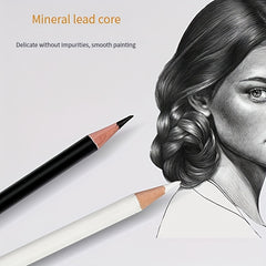 12Pcs Permanent Color Pencils for Artist and Beginners