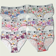 6 Pack Plus Size Boho Panties Set Women's Floral Print Bikini Underwear