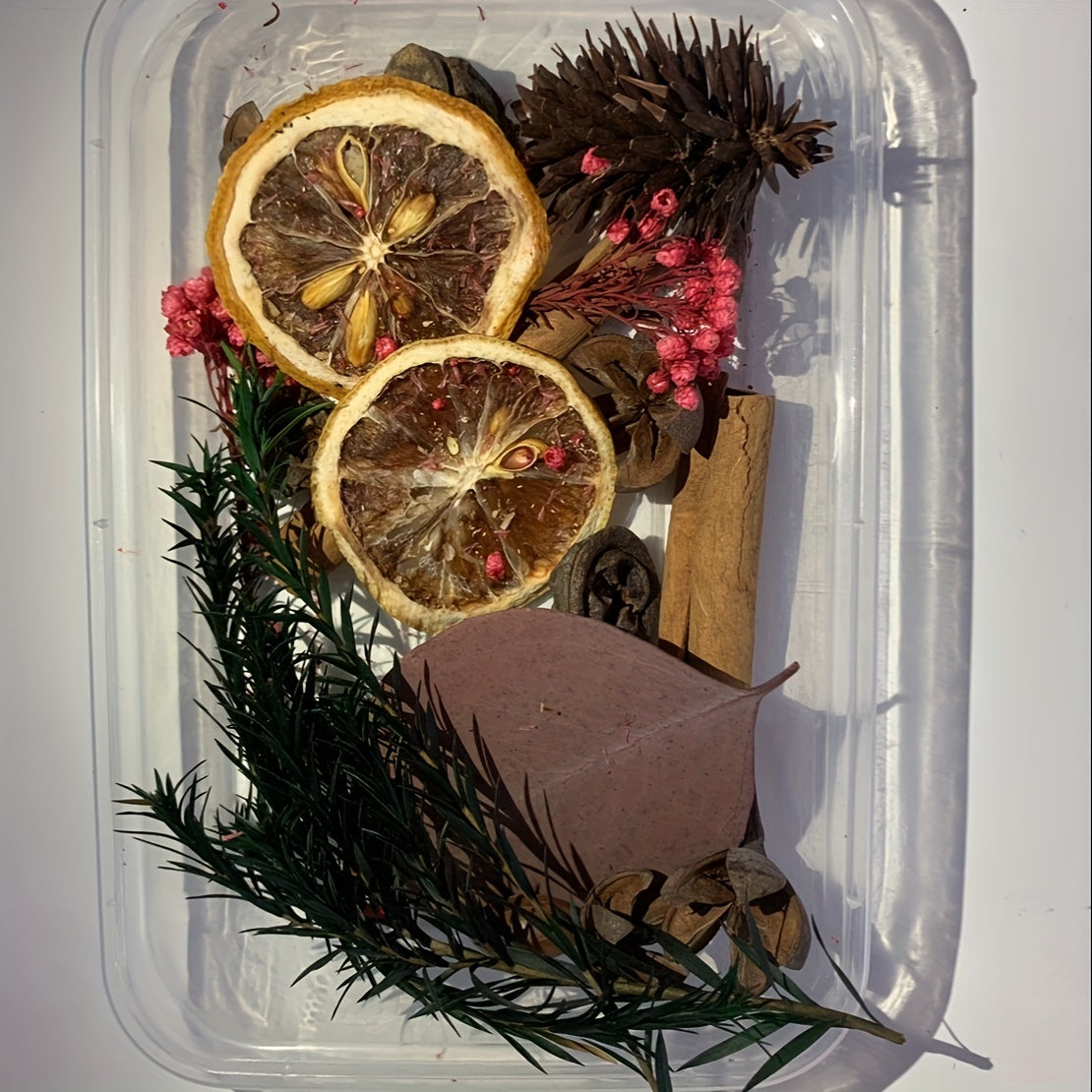 Dried Fruits & Flowers DIY Kit Natural Plants Pine Nuts Cinnamon Decor