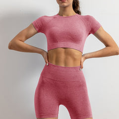 2pcs Yoga Sports Sets Quick Drying Short Sleeve Sports Cropped Tank Tops