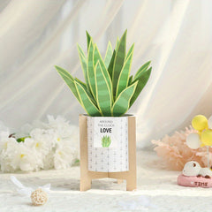 3D Pop Up Card Snake Plant Birthday Thank You Valentine's All Occasion