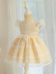 Baby Girls Bowknot Flutter Sleeve Lace Gown Dress for Party