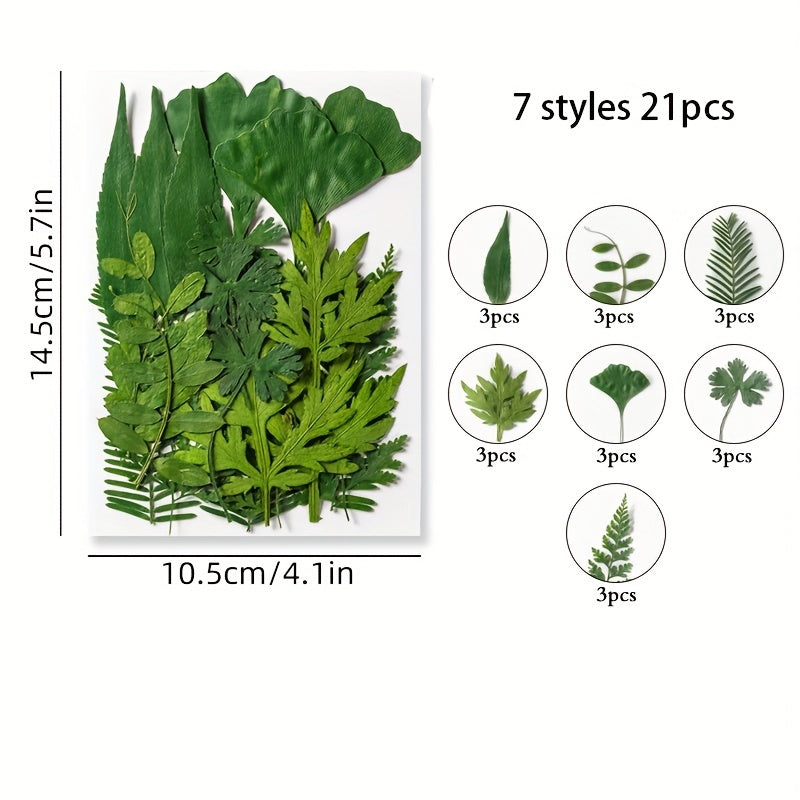 Dried Flower Embossed DIY Face Stickers True Leaves Plant Specimens