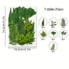 Dried Flower Embossed DIY Face Stickers True Leaves Plant Specimens