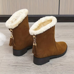 Women's Tassel Snow Boots Plush Lined Chunky Heel Comfortable Winter Boots