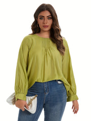 Solid Lantern Sleeve Blouse