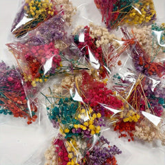 Mixed Colors Dried Flower Bag DIY Epoxy Resin Jewelry Mold Jewelry Craft Set