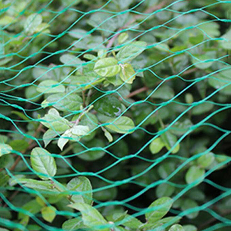 40ft Bird Netting Protects Garden Plants Flowers Trees Vegetables from Pests