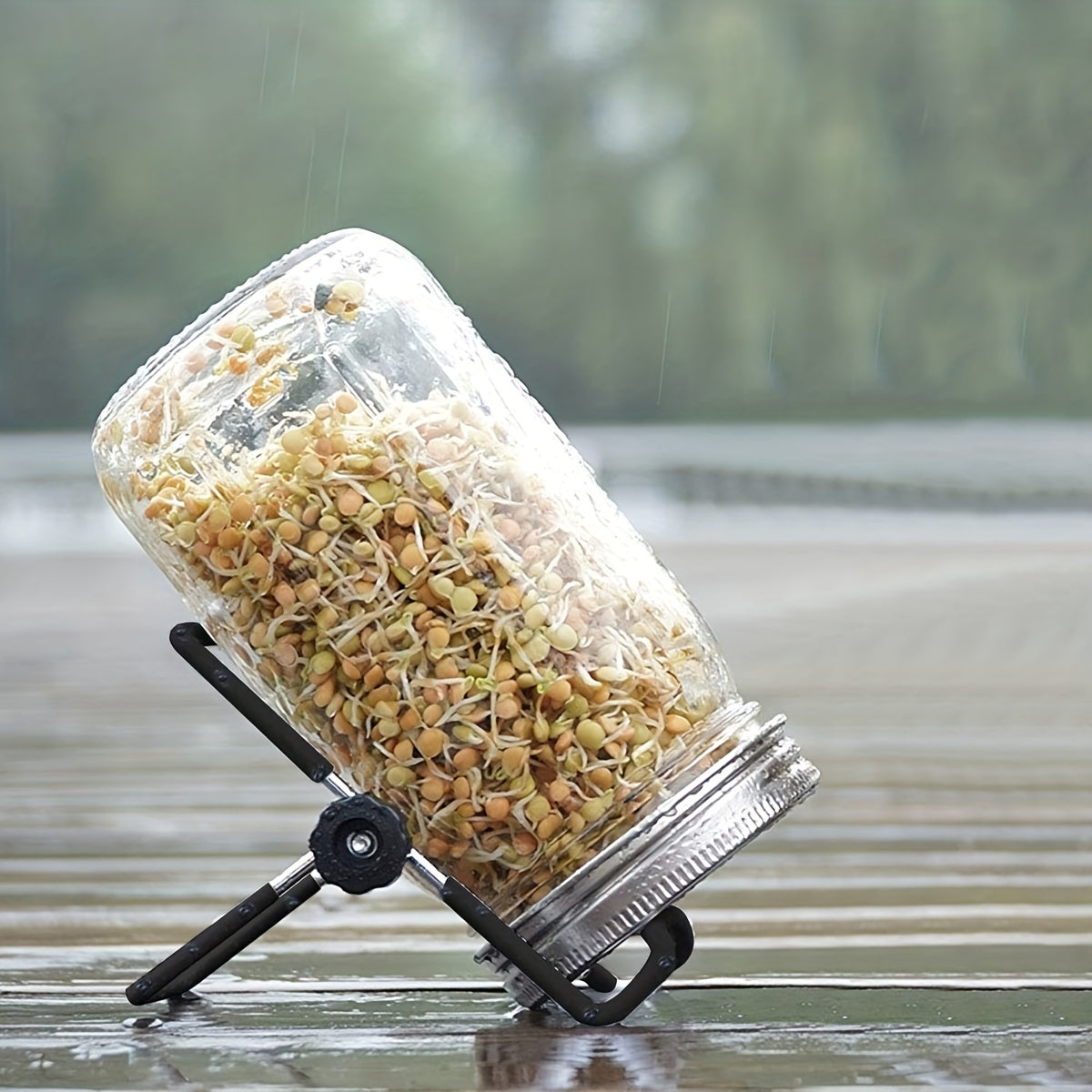 Mason Jar Sprouting Stands & Lids for Regular & Wide Mouth Jars