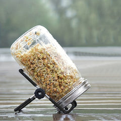 Mason Jar Sprouting Stands & Lids for Regular & Wide Mouth Jars