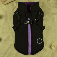 Cozy Padded Dog Vest w/ Harness for Outdoor Adventures