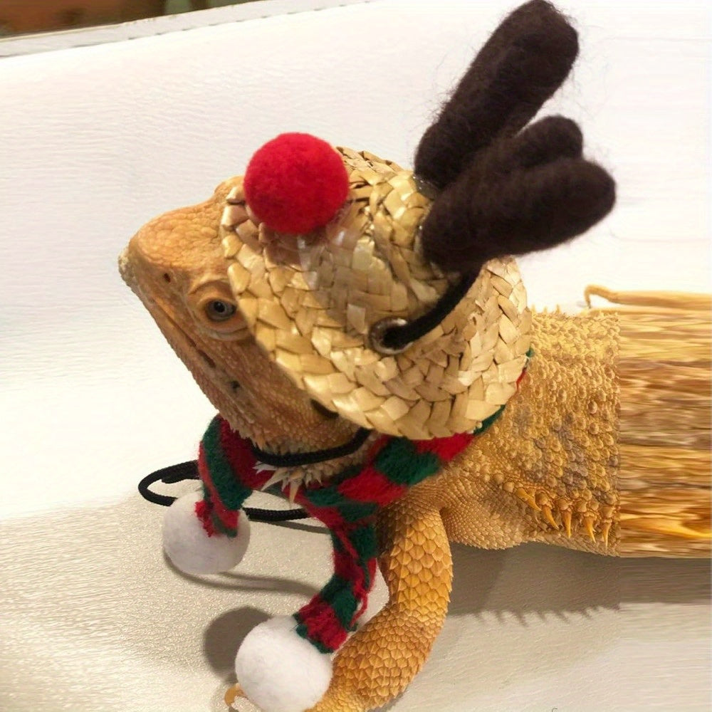 Festive Bearded Dragon Santa Hat with Scarf Christmas Costume