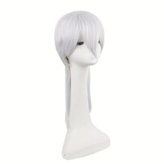 Men's 22in Short Chemical Fiber Wig Dress Up Wig Cosplay