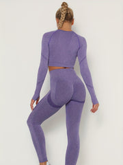 2pcs Seamless Yoga Sets Long Sleeve Top & Leggings Women's Activewear