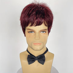 Men's Short Wig for Parties and Holidays