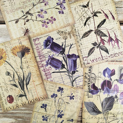 8pcs Vintage Botanical Flower Nature Scrapbook Papers DIY Crafts