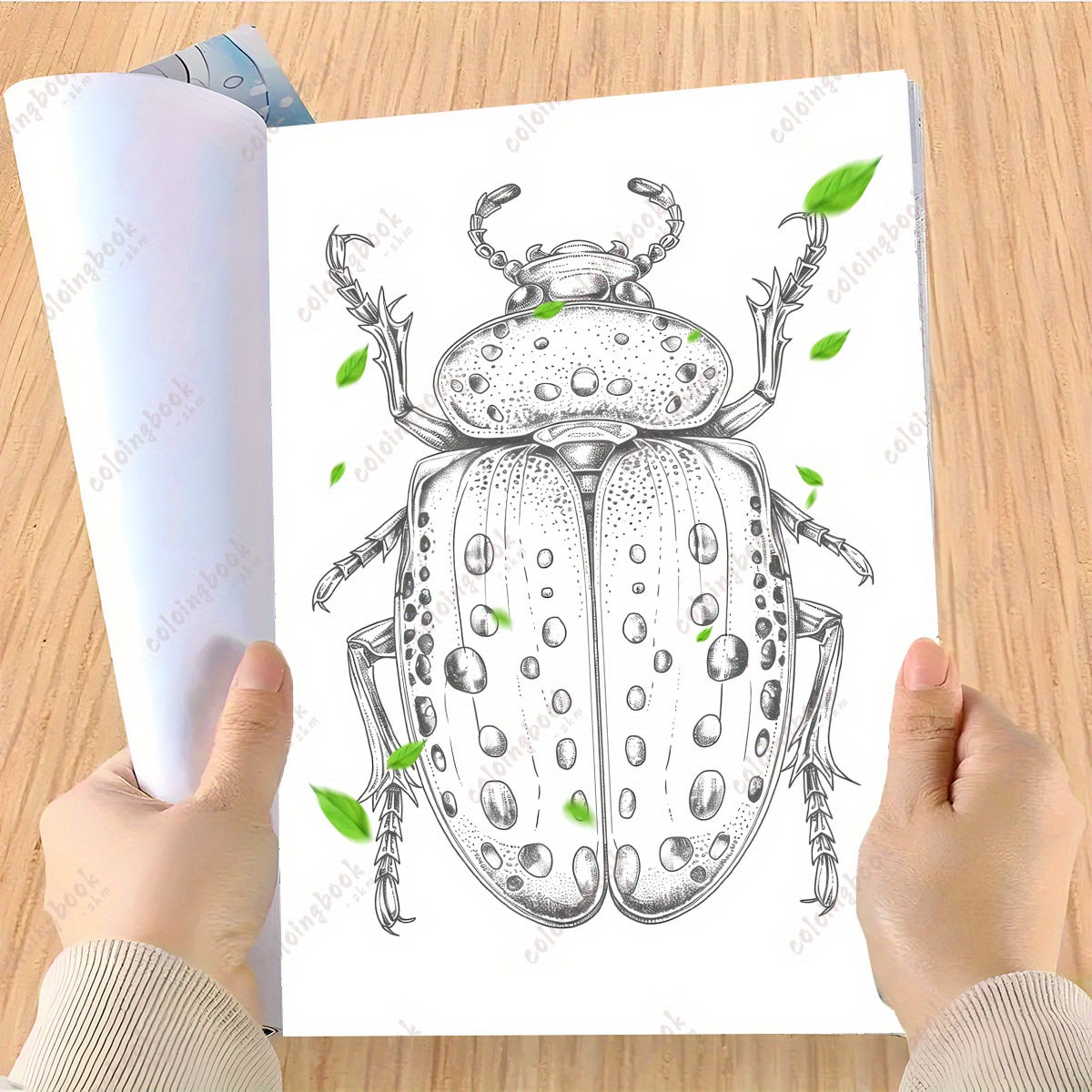 Deluxe Insect Painting Coloring Book for Adults - 22 Pages