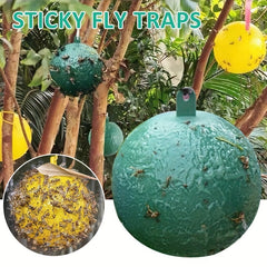 2pcs Sticky Bug Traps for Fruit Flies Mosquitoes