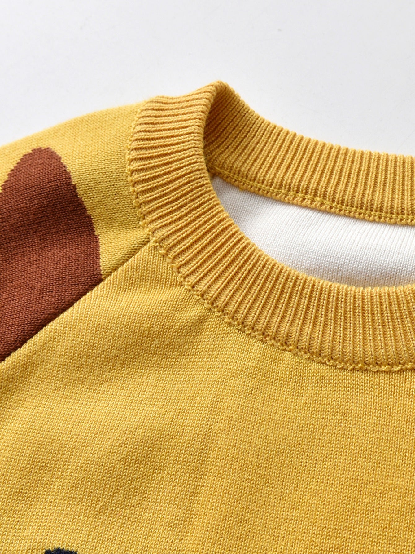 Kids Lion Print Knitted Winter Sweater
