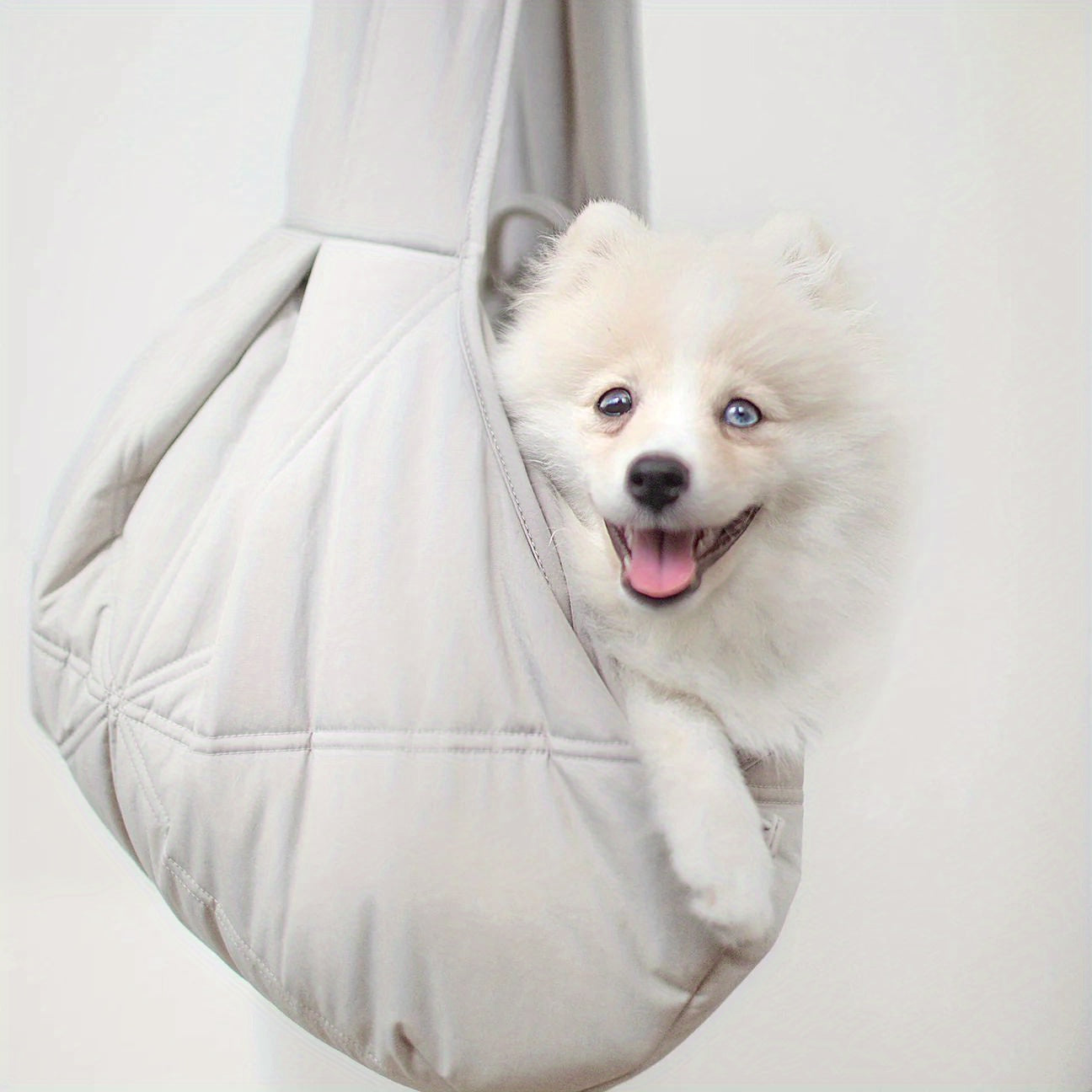 Portable Collapsible Dog Carrier for Small and Medium Dogs