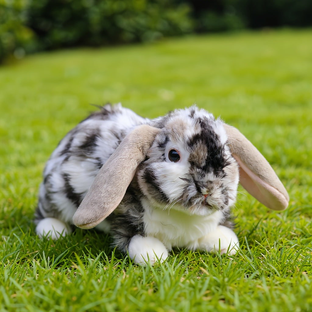 Realistic Lop Eared Rabbit Plush 26 Soft Stuffed Animal Grey