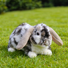 Realistic Lop Eared Rabbit Plush 26 Soft Stuffed Animal Grey