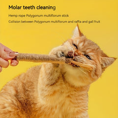 3-Pack Cat Chew Sticks Kitten Teeth Cleaning Toys