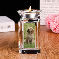 Small Urn Angel Wings Urns Crystal Ashes Human Pet Dogs Cats