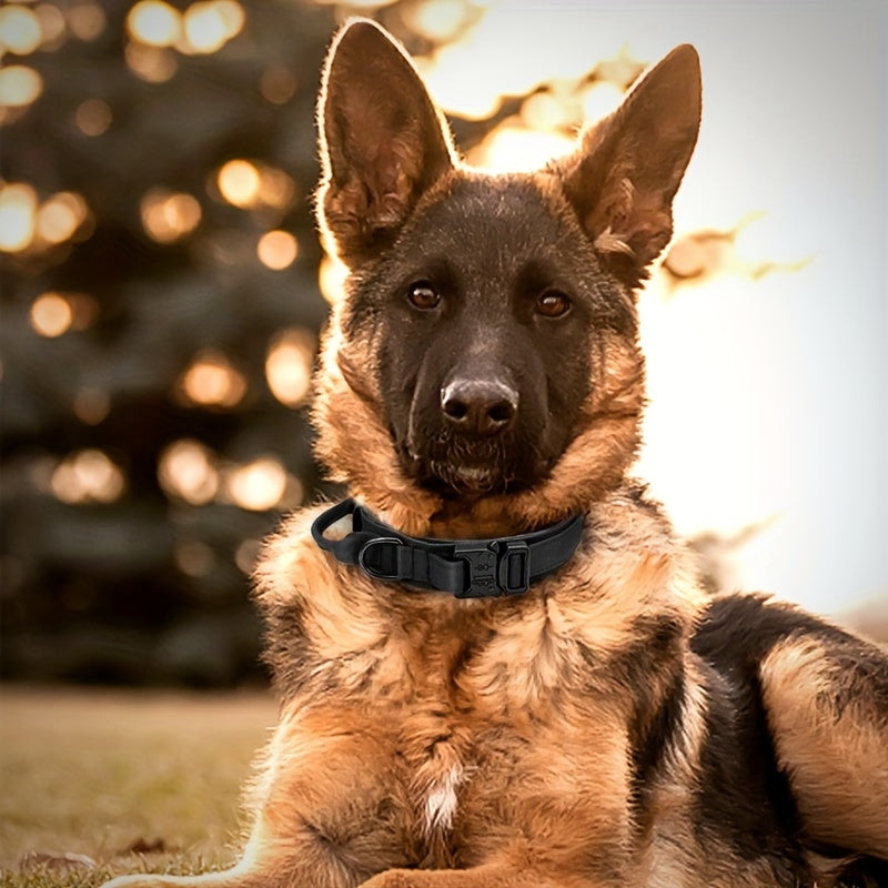 Heavy Duty Tactical Dog Collar with Handle for Training