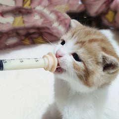 Pet Nursing Kit for Small Animals - Feeding Bottle, Syringes, Nipples
