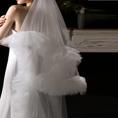Elegant Long Train Veil for Brides at Weddings