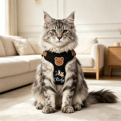 img_4653970