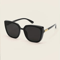 Classic Large Frame Sunglasses Men's Sunglasses With Anti stress Glasses Case