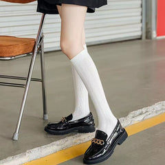 Textured Knitted Solid Long Tube Pile Socks for Women