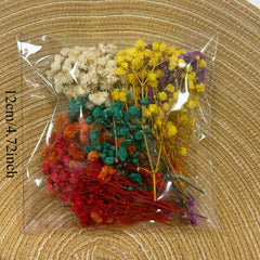 Mixed Colors Dried Flower Bag DIY Epoxy Resin Jewelry Mold Jewelry Craft Set