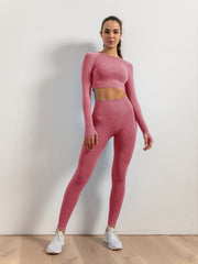 Stylish 2 Piece Yoga Suit Push Up Leggings & Long Sleeve Top