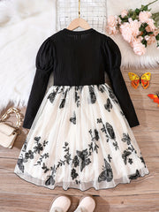 Girls Mesh Butterfly Embroidery Long Sleeve Dress