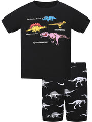 Toddler Girls Dino Pajama Set Crew Neck T Shirt & Shorts Sleepwear