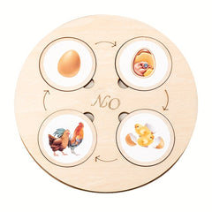 Animal Life Cycle Learning Set Educational Toy