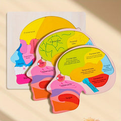 Wooden Brain Anatomy Learning Puzzle for Ages 3 Educational Cognitive Toy